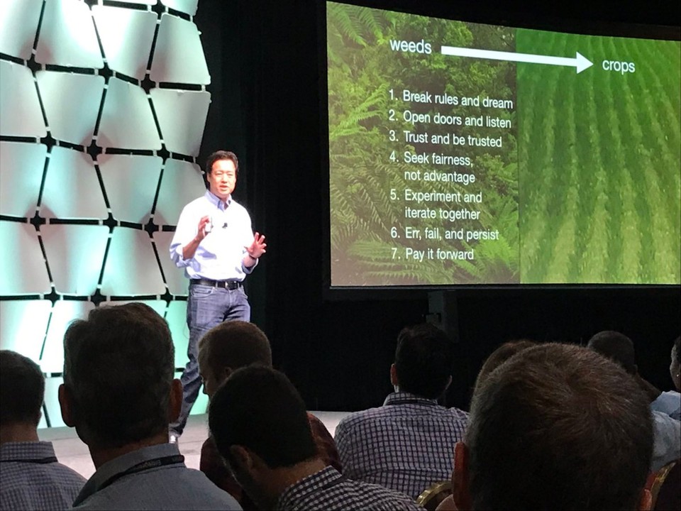 Culture in an innovation ecosystem: Seven rules of the Rainforest